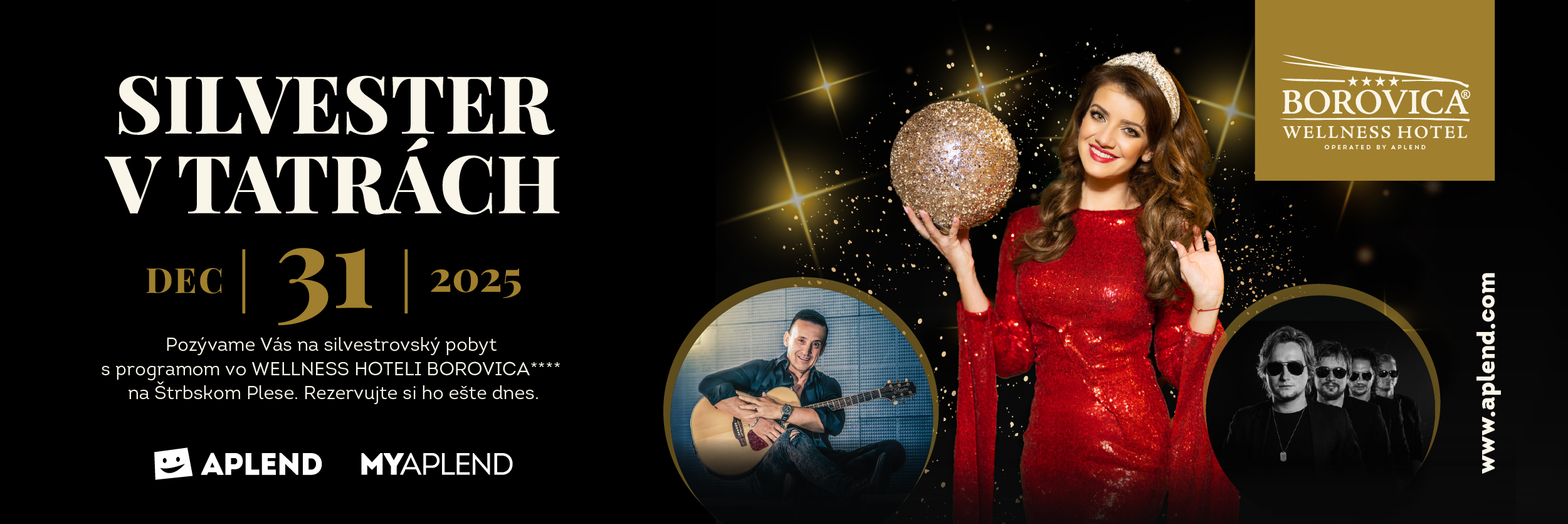 New year 2025 in Hotel Borovica****